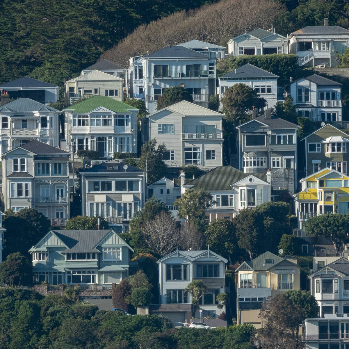 A New Zealand home of the kind buyers track on OurHouse